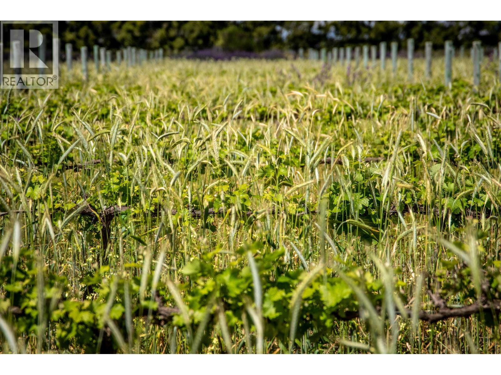 LOT P 10925 248 STREET