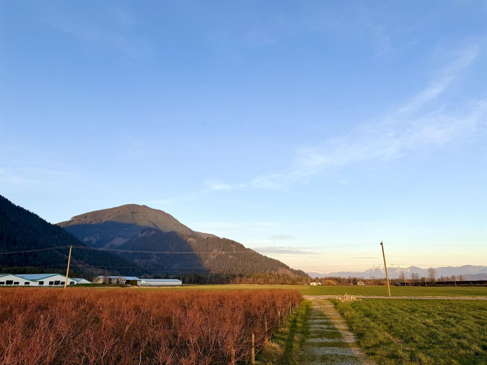 9445 CATHERWOOD ROAD