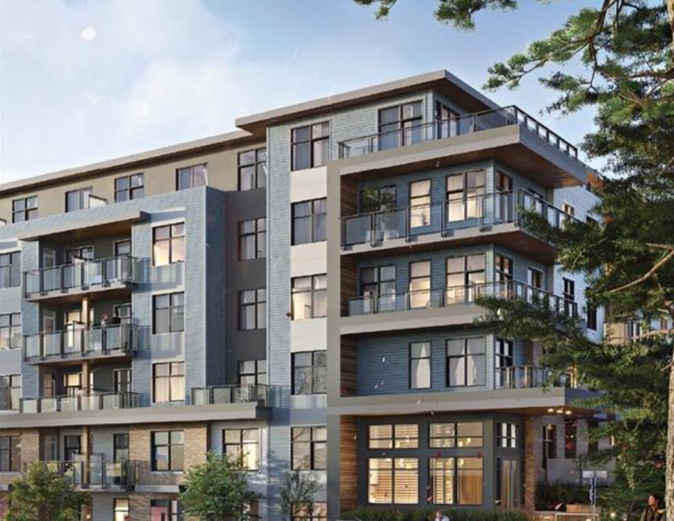 317 - 13439 94A AVENUE