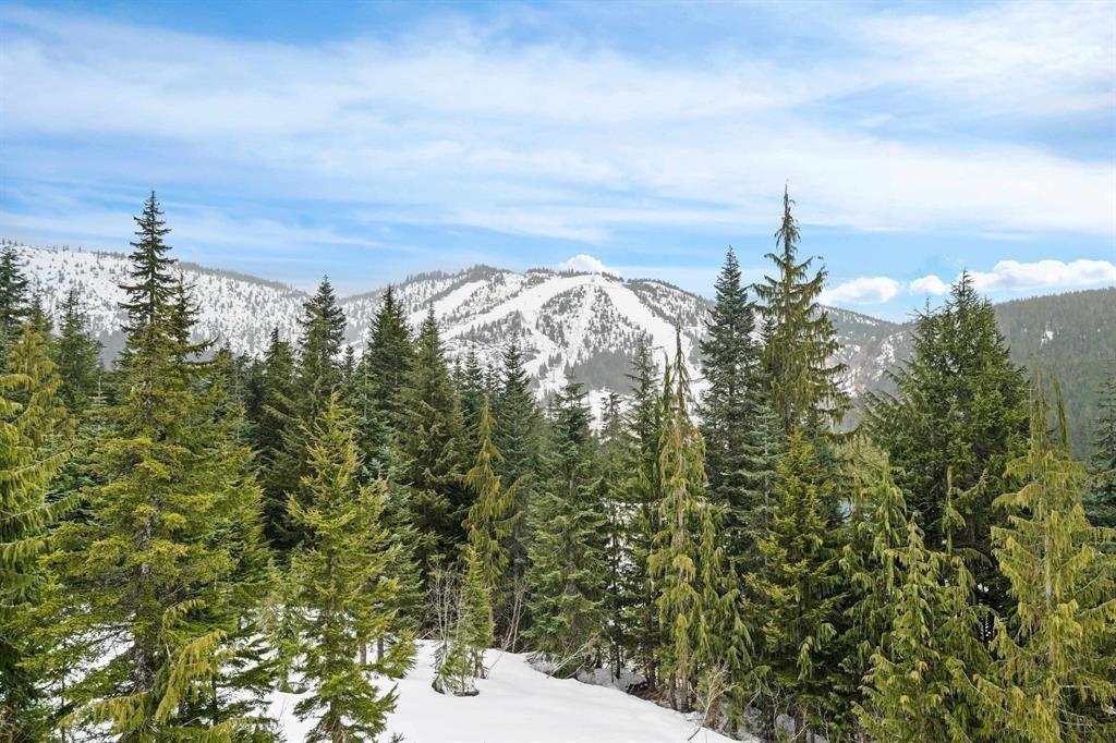 47065 SNOWMIST DRIVE